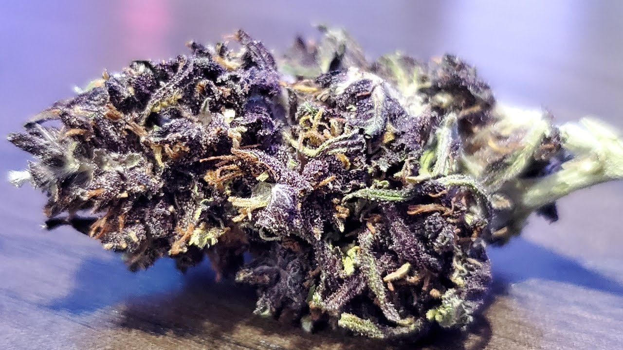  Exotic Hemp Flower From JK Distro Panama Red YouTube
