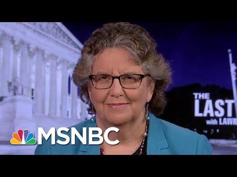 FEC Chair Sets The Record Straight On Foreign Interference In An Election | The Last Word | MSNBC