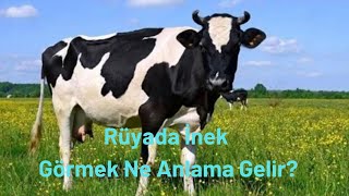 ruyada inek gormek ne anlama gelir ruyada inek gorme youtube