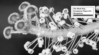 Pastilă profilactică parazit - SFATUL SPECIALISTULUI - Comprimate profilactice parazite