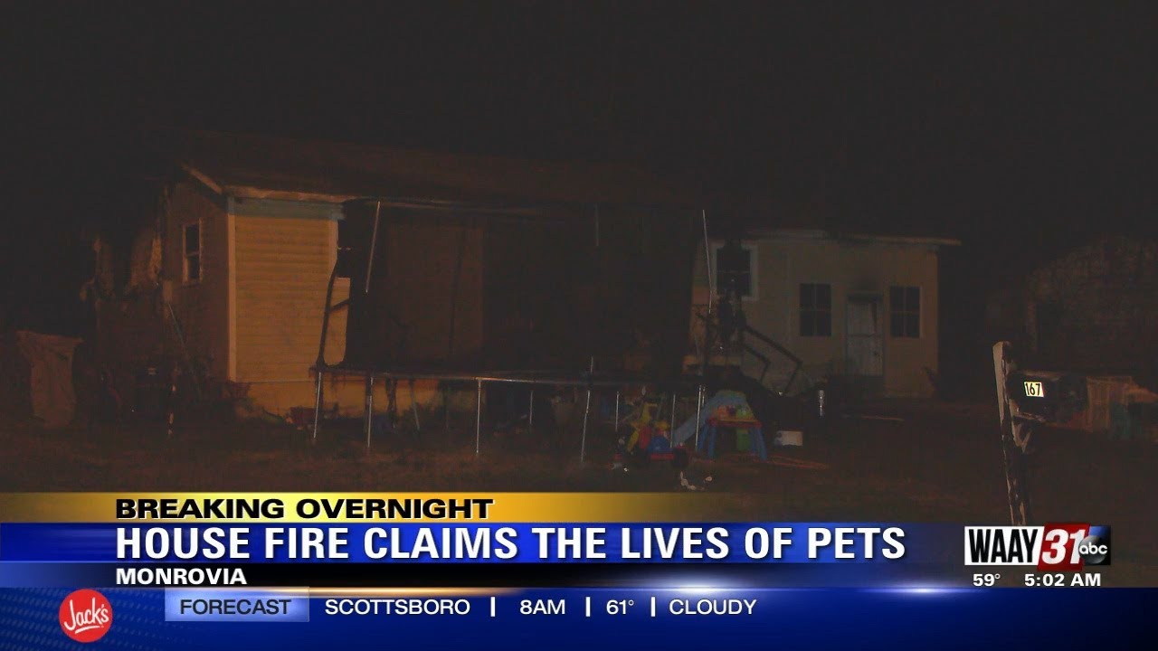 House Fire Claims the Lives of Pets - YouTube