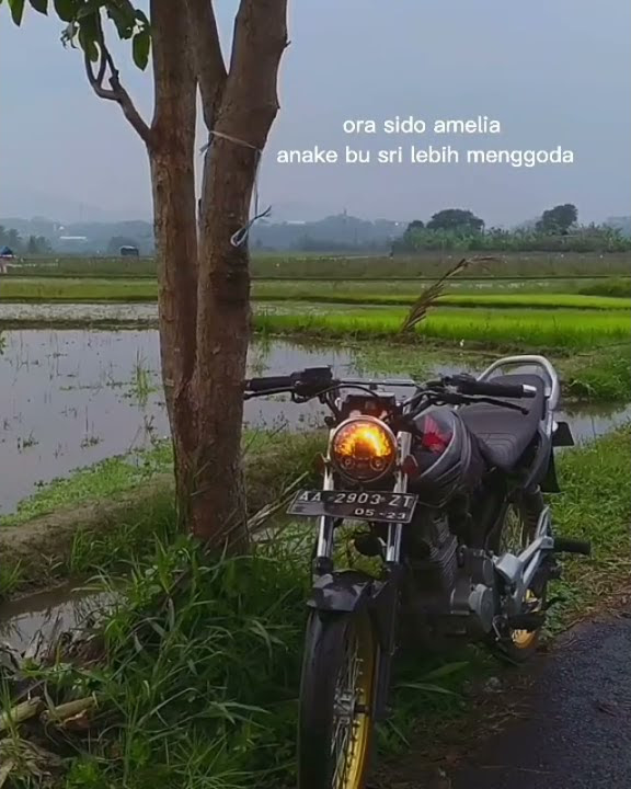 Story'wa Herex || Honda_GL_MP_Tiger_CB