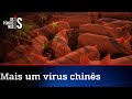 Aparece na China mais um vírus que pode gerar pandemia