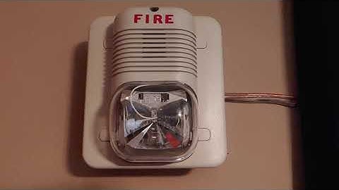 System Sensor P241575 Horn Strobe Test