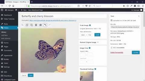 How to Crop Images in Wordpress