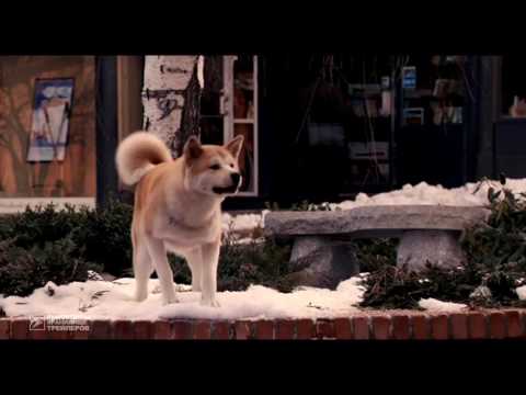 Хатико: Самый Верный Друг | Русский Трейлер Hd | Hachi: A Dog's Tale