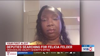 Orangeburg County deputies searching for missing woman last seen in April