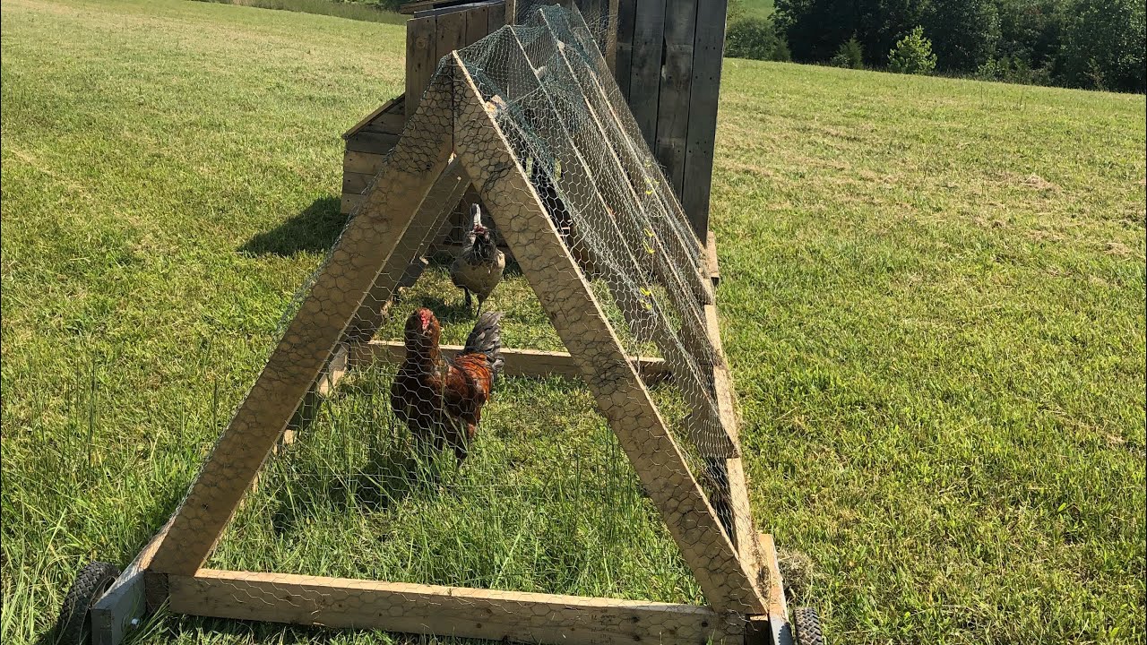 Pallet Wood Aframe Chicken Tractor Build. YouTube