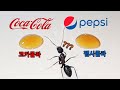 코카콜라 vs 펩시콜라, 과연 개미의 선택은???