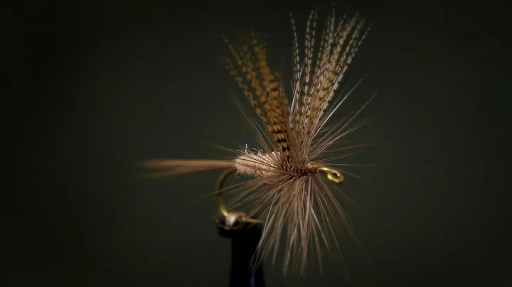 Catskill-Style Hendrickson Dry
