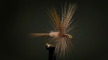 Catskill-Style Hendrickson Dry