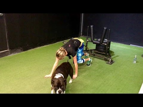 Kate Upton Bear Crawl/Reverse Sled Push Combo