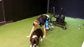 Kate Upton Bear Crawl/Reverse Sled Push Combo