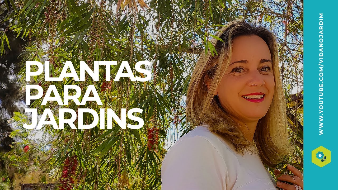 Plantas para jardins