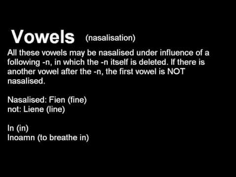 The second lesson for all you arduous learners of Tweants, who are dying to learn more, MORE! Here's some info on pronunciation of Riessens, which is a special variety of Tweants, and has some characteristics that need some special attention. good luck!