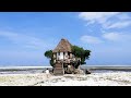 Tanzania 2022 Hakuna Matata. Travel video