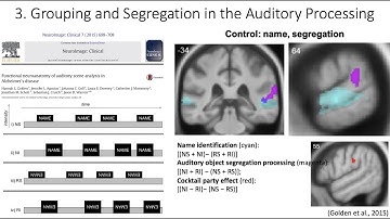 5.3. Segregation in the Auditory Processing, Fundamentals of Cognitive Neuroscience Course, Ses5, P3