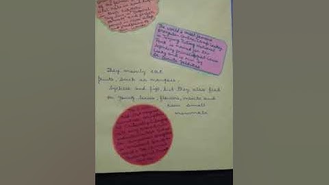 PRACTICAL FILE OF ZOOLOGY B.Sc. 3rd YEAR #bsc #practicalfile #bsc3rdyearzoology #zoology