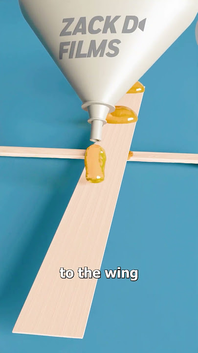 Download lagu How A Fly-Powered Plane Works 😨