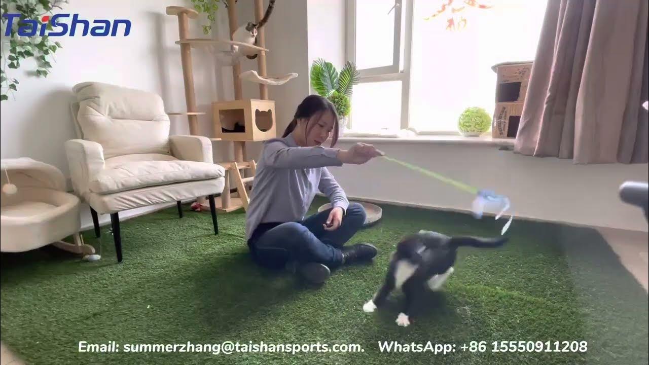 Is artificial grass safe for cat or pets? YouTube