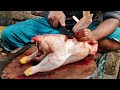 How to Cut Up a Whole Chicken Into Pieces