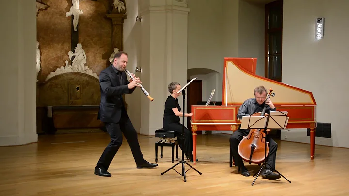 Antonio Vivaldi: Sonta c moll RV 53 -  Barbara Mar...