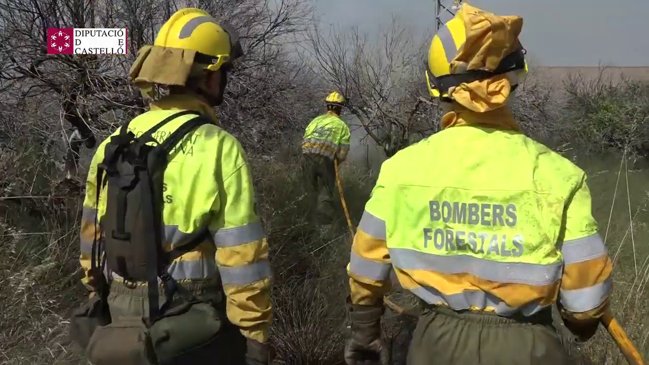 Desalojan doce viviendas en Onda por un incendio forestal