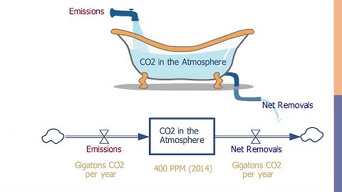 Stocks and Flows [The Climate Leader]