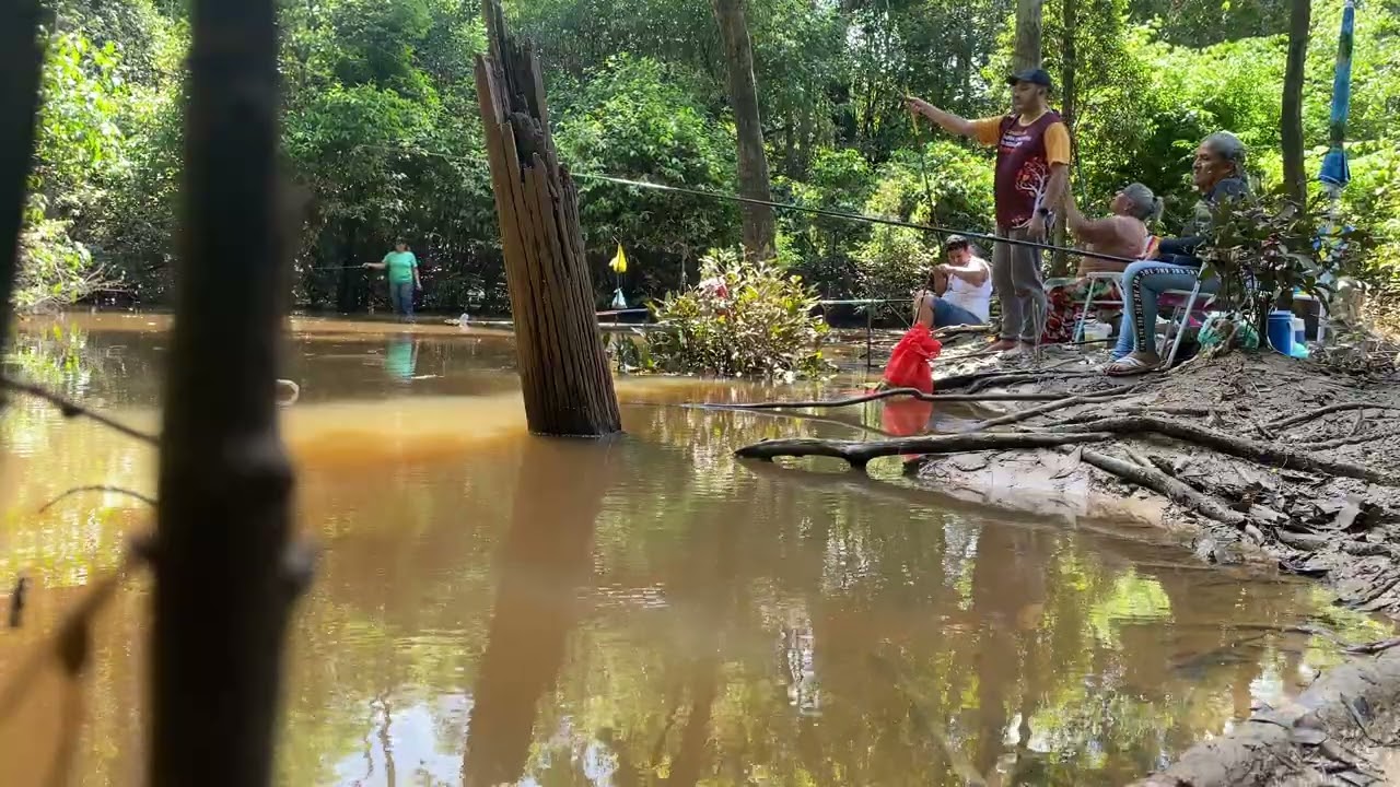 Pesca de barranco - Porto Velho, Rondônia, Amazônia