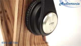 видео Наушники OPPO Stereo In-Ear для MP3/MP4 Mobile