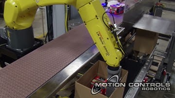 Robotic Case Packing Small Boxes