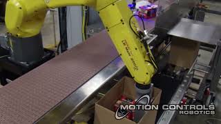 Robotic Case Packing Small Boxes