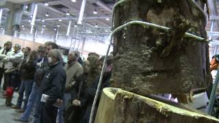 FORESTALIA 2013 - SALONE AGROFORESTALE - PIACENZA EXPO