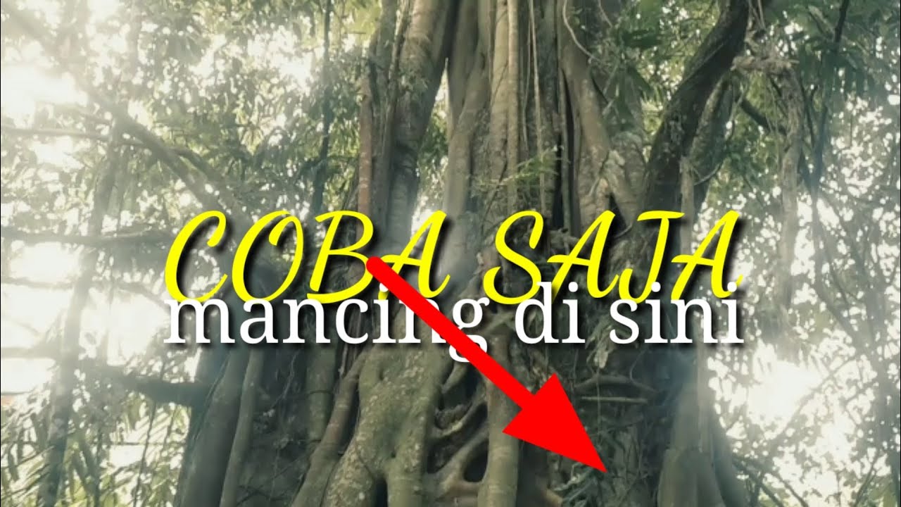 nekat !!! mancing ikan di tempat angker ## UCU mania