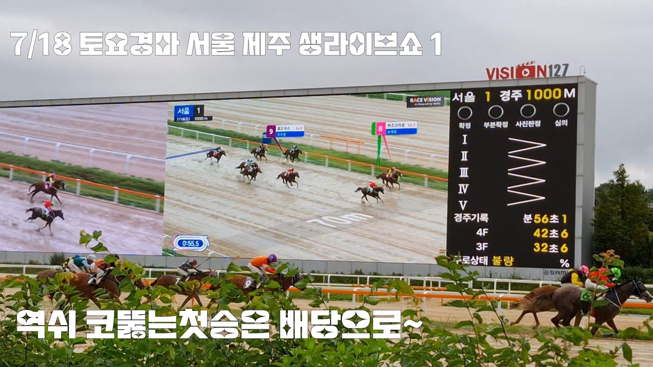 불량주로 서울경마 첫판부터 눈탱이 맞는느낌?(토요경마 서울1.2경주/제주1.2경주)
