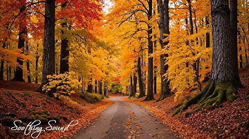 Beautiful Relaxing Music 🍁 Stop Overthinking, Stress Relief Music With Autumn Melodie
