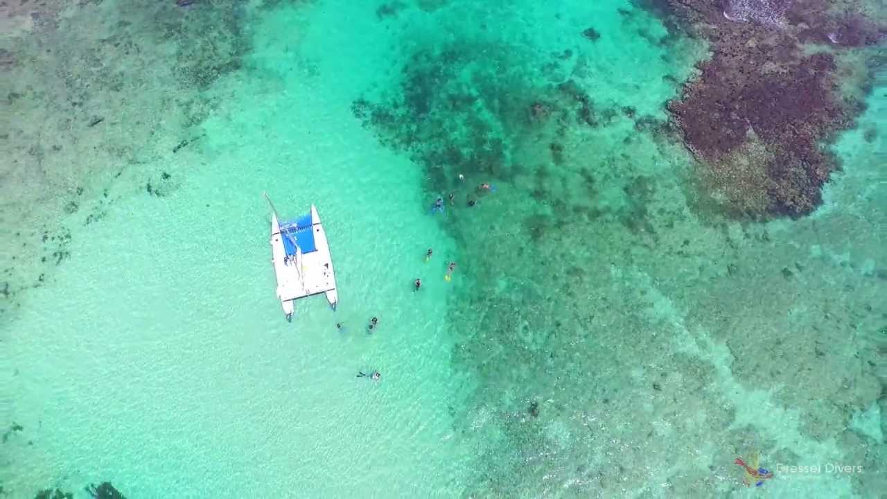 Snorkeling, PUERTO AVENTURAS, RIVIERA MAYA, Dressel Divers Snorkel Shop