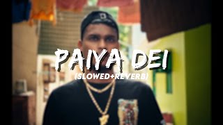 Asal Kolaar - Paiya Dei | (Slowed + Reverb) [Bass Boosted]