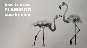 how to draw flamingo step by step how to draw a flamingo easy