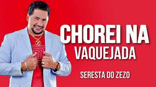 Video thumbnail of "CHOREI NA VAQUEJADA - ZEZO 2023 - CD NOVO COMPLETO - AS MELHORES SERESTAS - BIEL ESTOURADO"