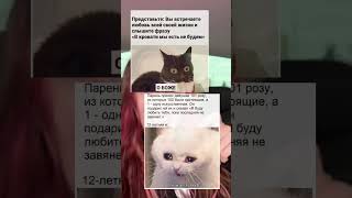 Мемы #Memes #Youtubeshorts #Рекомендации #Shorts