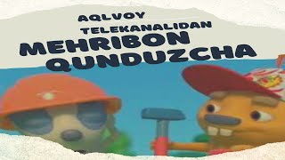 Aqlvoy kanaldan yangi multfilim "Mehribon Qunduzcha" uzbek tilida multfilim, Мультфильм Аклвой