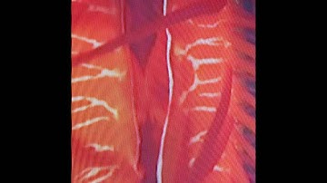 Tycho - Cloud Generator Video