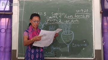 Class 3 Science Chapter 5 - Plants Around us - Part 2 -  Functions Of Roots