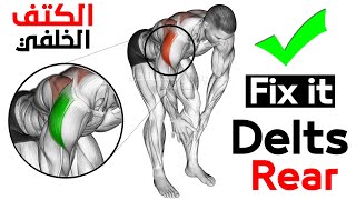 تمارين الكتف الخلفي لمن يعاني من ضعف فيها - Rear Delt Exercises