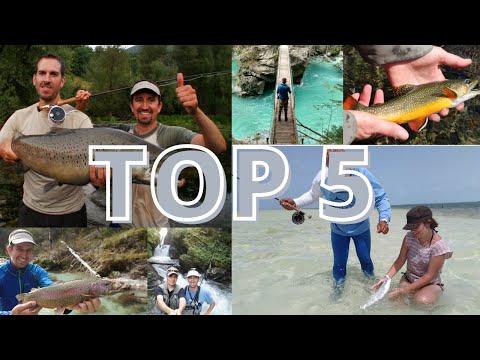 Vídeo: 10 Bellas Imágenes De Pesca Con Mosca Alrededor Del Mundo