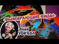 🐼🐵🦓 Поп-Арт художник Энди Уорхол. Вымирающие виды