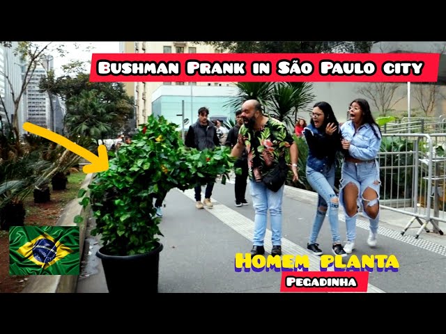 pegadinha do homem planta. #Pegadinha #pegadinhas #bushmanprank