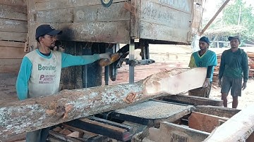 Witness the Sawmill’s Surprising Discovery of a Curved Teak Log Full of Art!
