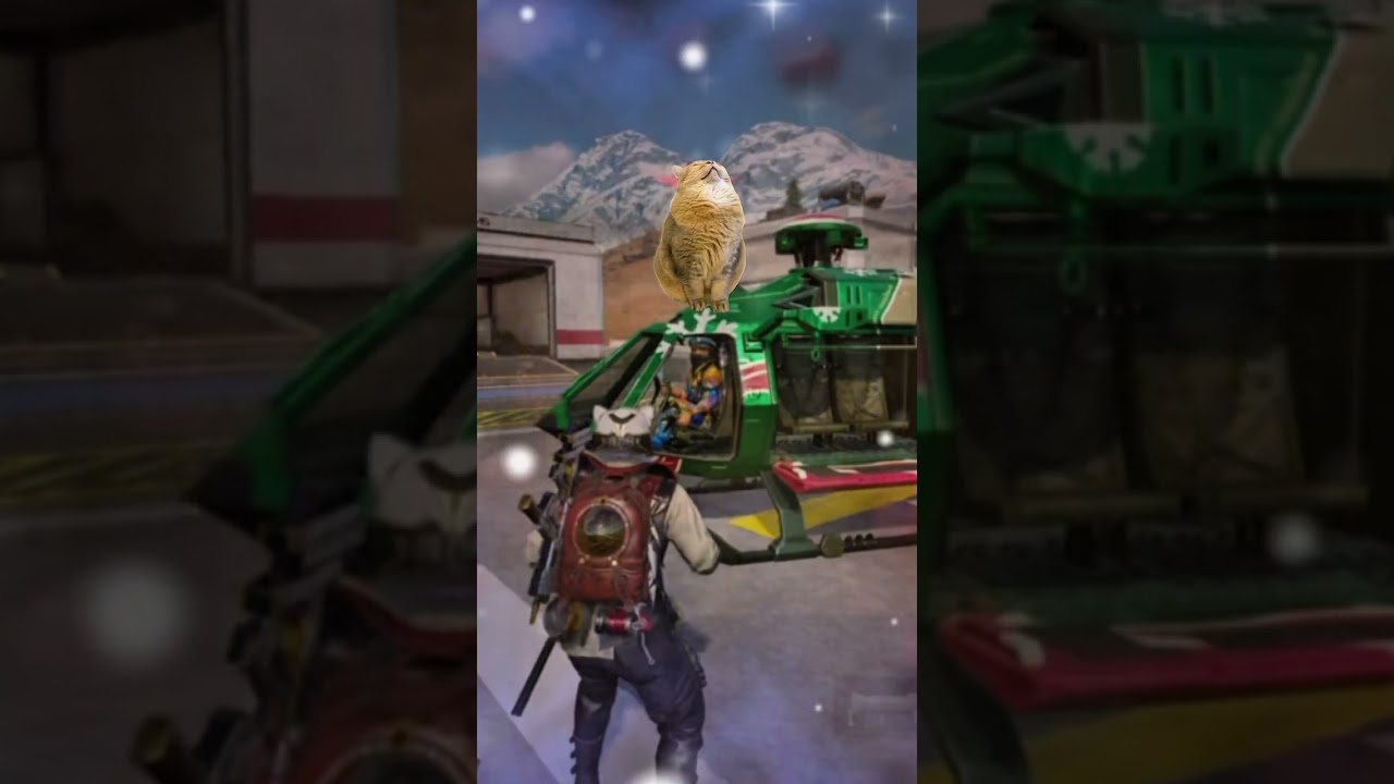 The pilot fell asleep 😴 before flying off 😹 